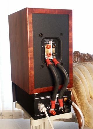 Acoustic Energy AE1 back