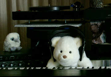 checking the stereo mixdown