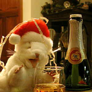 Happy New Year!
