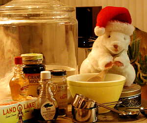 someone was stirring, and it was a mouse!