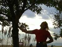 wind, sunset